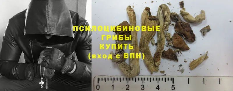 где купить наркоту  маркетплейс какой сайт  Псилоцибиновые грибы Psilocybe  Артёмовский 